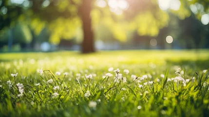 Deurstickers Beautiful blurred background image of spring nature with a neatly trimmed lawn surrounded by trees against a blue sky with clouds on a bright sunny day © Tahir