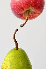 Connection between fruits on white background - 729337472