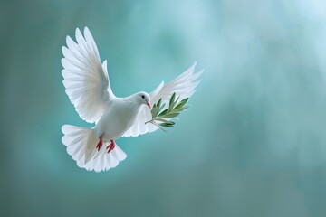 Obraz premium Symbol Of Harmony Dove Carries An Olive Branch For Global Peace
