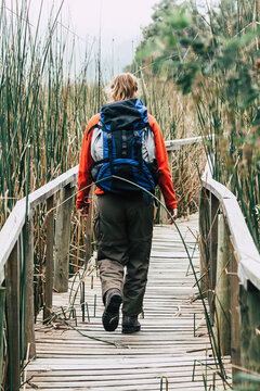 Frau beim Wandern im Schilf, Laguna Torca, Chile