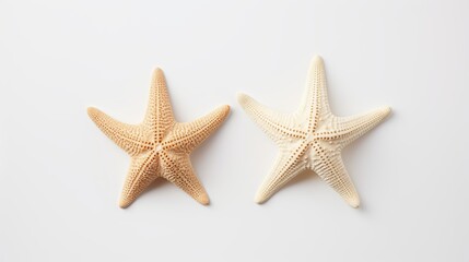 Fototapeta na wymiar Two different types of white starfish isolated over a white background, ocean, sea, beach, summer vacation design element, flat lay, top view with subtle shadows
