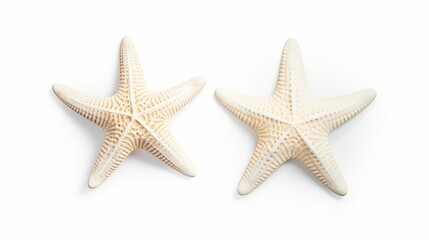 Two different types of white starfish isolated over a white background, ocean, sea, beach, summer vacation design element, flat lay, top view with subtle shadows
