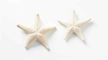 Fototapeta na wymiar Two different types of white starfish isolated over a white background, ocean, sea, beach, summer vacation design element, flat lay, top view with subtle shadows