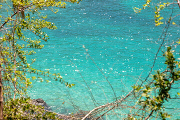 View of the sea waters among the foliage during a beautiful sunny day