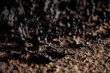 Toy Soldiers On The Battlefield Of War