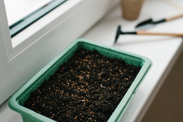 Container with peat and planted seeds with a garden tool at home on the windowsill