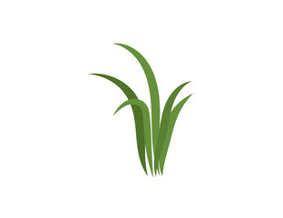 Green grass. Gazon. Vector icon. web version. - 729343897