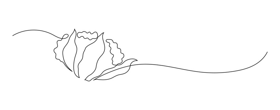 recommend clip art: Cauliflower. Continuous line drawing. Vegetable frame border doodle.  