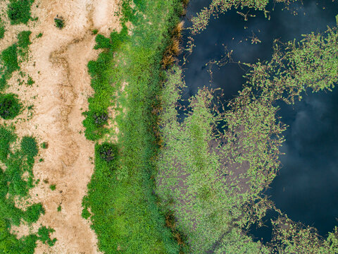 Watercourse and dam with green water weed and grass growing