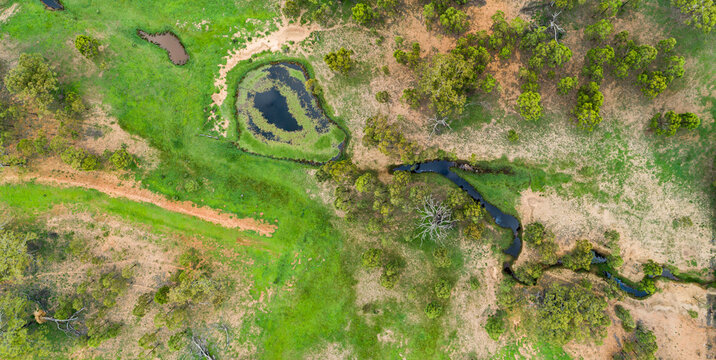 Watercourse and dam with green water weed and grass growing