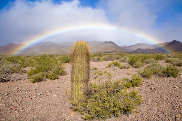 Regenbogen in der Wüste, Nationalpark Los Cardones, Argentinien, Südamerika
