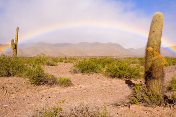 Regenbogen in der W&uuml;ste, Nationalpark Los Cardones, Argentinien, S&uuml;damerika