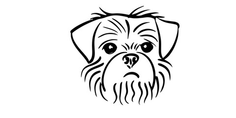 vector portrait of a affenpinscher dog