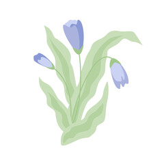 Vector isolated illustration of plant with lavender colored flowers and leaves.