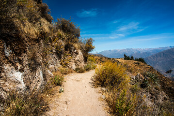 2023 8 16 Peru canyon del Colca 18