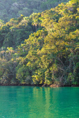 The green sea of Angra dos Reis meets the mountains of tropical vegetation during the afternoon with sun rays illuminating the scene