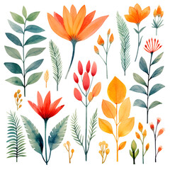Watercolor illustration set with orange flowers, branches and leaves. Isolated on transparent background. Perfect for card, postcard, tags, invitation, printing, wrapping.