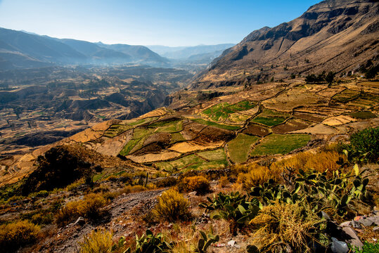 2023 8 16 Peru Plateaus 5