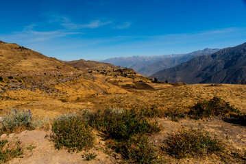 2023 8 16 Peru Plateaus 10