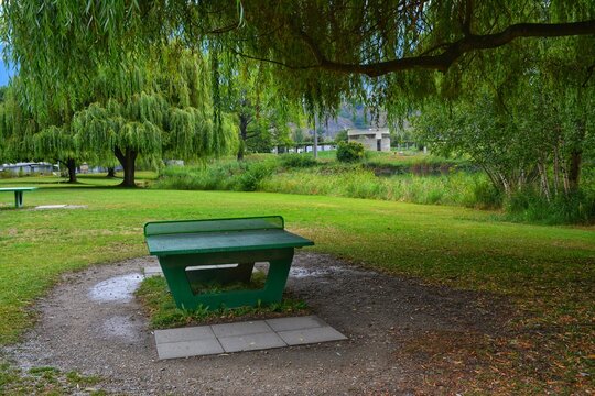 green bench in the park with eepig willow trees in the background