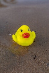 Fototapeta na wymiar Big yellow rubber duck on the beach.