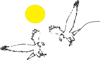 silhouette of a butterfly