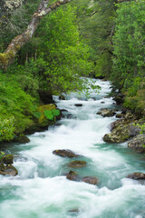 Fluss im Regenwald, Carretera Austral, Chile