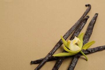 Vanilla pods and beautiful flower on dark beige background. Space for text