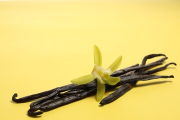 Vanilla pods and beautiful flower on yellow background. Space for text