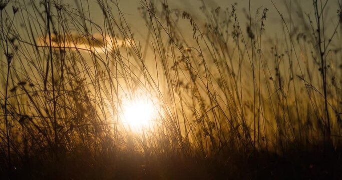 Sun is setting below the horizon. Dry autumn grass barely sways. Beautiful sunset in the meadow. Cinema 4K 60fps zoom-in video