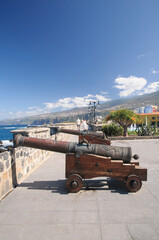 Fototapeta na wymiar Festungsmauer der Plaza Europa, Puerto de la Cruz, Teneriffa, Kanarische Inseln, Spanien, Europa