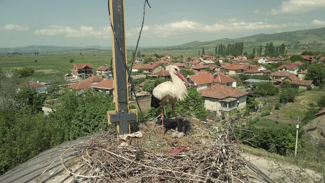 Stork nest on the rooftop of the church, day light drone shooting, mother and babies stork 
