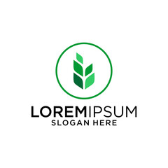 leaf logo design graphic template