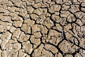 Lack water Sau Reservoir. The swamp is at very low water levels due to lack of rain. Desertification, climate change, environmental problems, drought. Barcelona, Spain