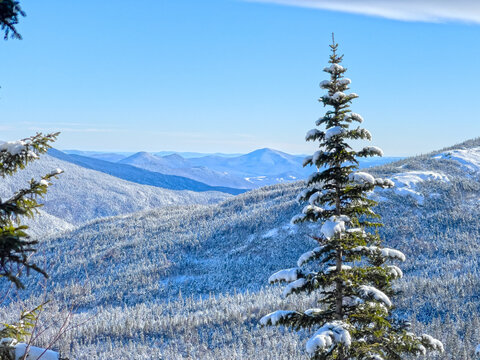 A snowy and winter landscape of the White Mountains of New Hampshire from the side of Mt. Washington looking south at the other 4000 footers. Pine trees and snow covered ridge fill the landscape view.