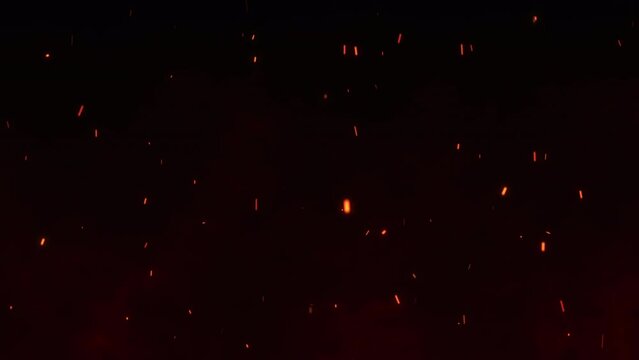 Fire flakes rising up on the night maroon sky with the feeling of a huge fire happening. Bright fire particles flowing up with the wind. Bonfire background animation. Flowing fire ashes in the night.