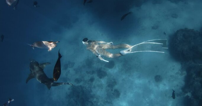 Woman swimming underwater with Nurse shark in tropical blue ocean at Maldives.