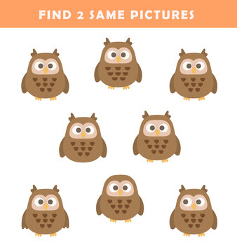 Find 2 same owls .Puzzle game for children. Preschool worksheet activity for kids. Educational game.