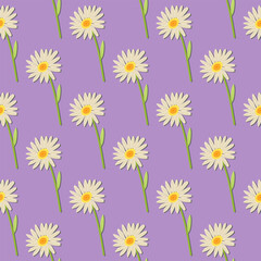 Obraz premium A seamless pattern of daisy on a purple background in a spring minimal floral concept, Vector