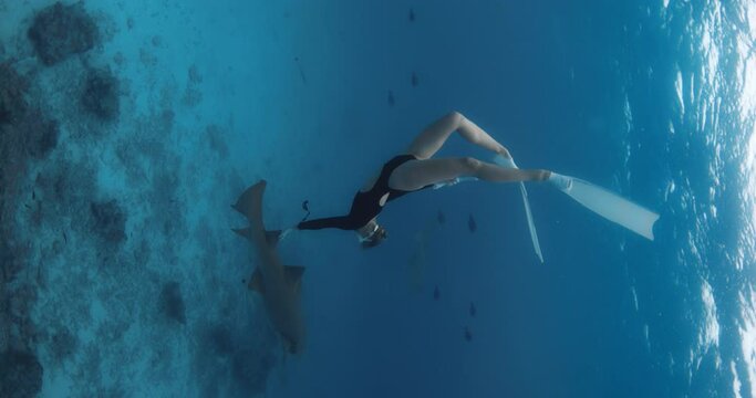 Woman swimming underwater with Nurse shark in tropical blue ocean at Maldives.