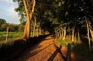 estrada linda no interior bela paisagem em fim de tarde 