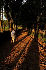 estrada linda no interior bela paisagem em fim de tarde 