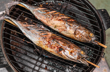 Asian food. Two grilled skipjack tuna on the grill. Katsuwonus pelamis
