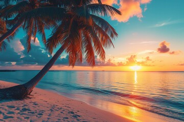 Beautiful panoramic sunset sea sky tropical paradise beach. Tranquil summer vacation travel landscape. Peaceful seaside palm calm panorama. Exotic nature view inspire seascape. Best Maldives wallpaper