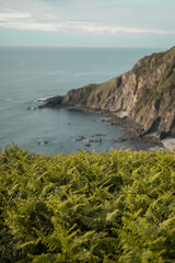 view of the coast of the atlantic ocean