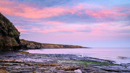 Pink Clouds over Cullernose Point, on the rocky shoreline  at Howick on the Northumberland coast,...