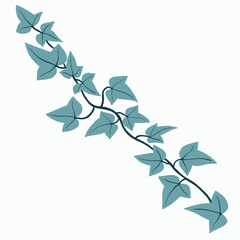 Floral ivy drawing decorative ornament flat design.