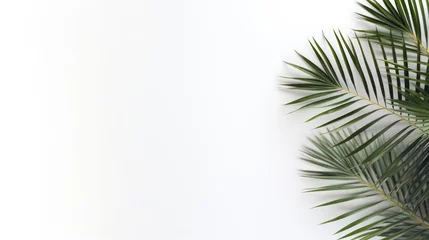 Fotobehang Tropical palm leaves on white background. Flat lay, top view © Voilla