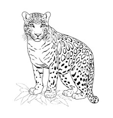 Leopard illustration coloring page - coloring book for kids