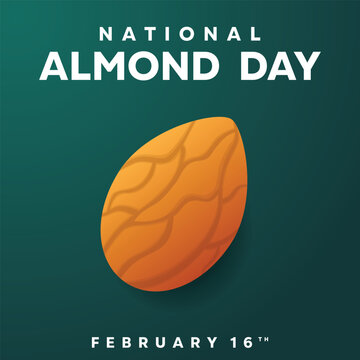 National Almond Day. Vector illustration of almonds on a green background.